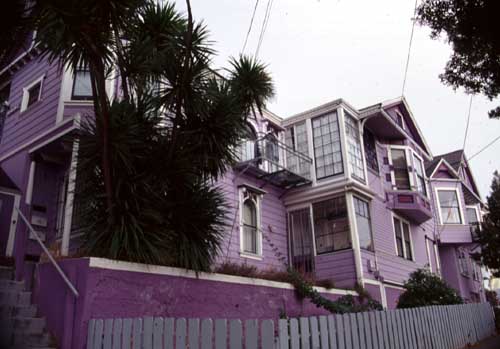 Yes, it's PURPLE!